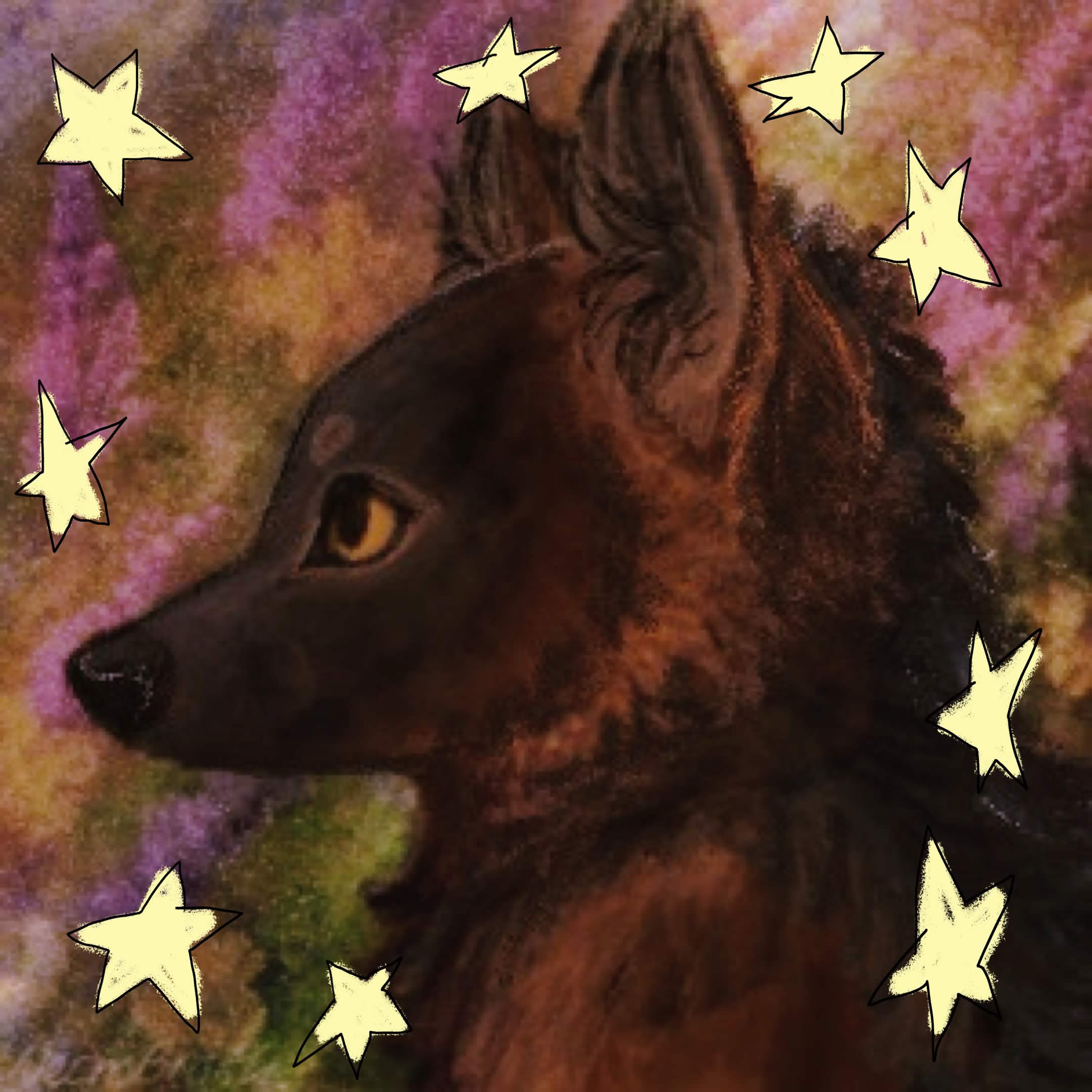 Cross Fox!